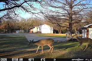 1155 Point Vista Rd, Hickory Creek, TX 75065 - Photo 11