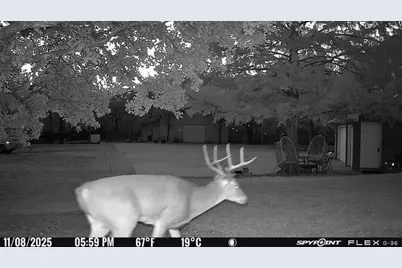 1155 Point Vista Road, Hickory Creek, TX 75065 - Photo 15