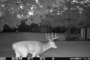 1155 Point Vista Rd, Hickory Creek, TX 75065 - Photo 15