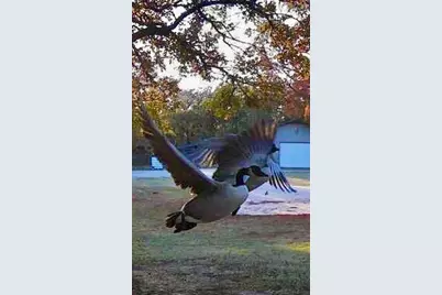 1155 Point Vista Road, Hickory Creek, TX 75065 - Photo 7