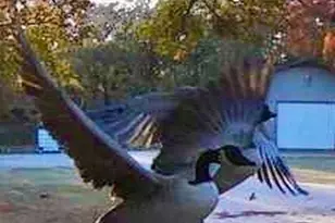 1155 Point Vista Rd, Hickory Creek, TX 75065 - Photo 7