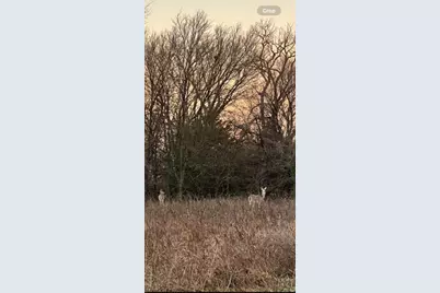 2112 Benjamin Creek Drive, Little Elm, TX 75068 - Photo 39