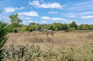 337 Vz County Road 2719, Mabank, TX 75147 - Photo 21