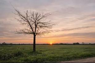 Tbd County Road 14420, Pattonville, TX 75468 - Photo 1