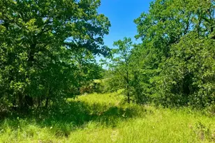 Lot 34 Galway Rd, Poolville, TX 76487 - Photo 1
