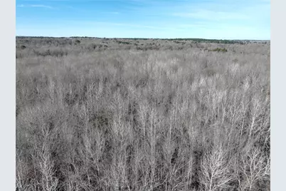 Tbd County Road 3170, Quitman, TX 75783 - Photo 13