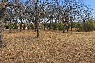 Tbd Dps Tower, Perrin, TX 76486 - Photo 1