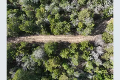Tbd State Highway 154, Quitman, TX 75783 - Photo 7