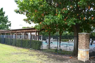 9809 Carter Dr, McKinney, TX 75072 - Photo 39