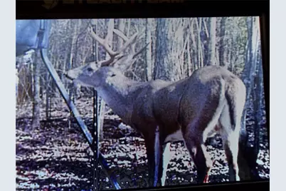 11501 Waterbuck Road, Winnsboro, TX 75494 - Photo 19