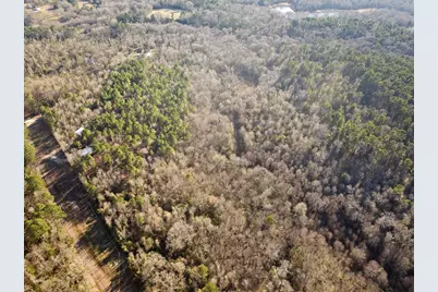 11501 Waterbuck Road, Winnsboro, TX 75494 - Photo 15