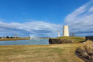 916 Elizabeth St, Anna, TX 75409 - Photo 31