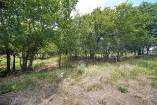 127 Valentine St, No City, TX 76389 - Photo 25