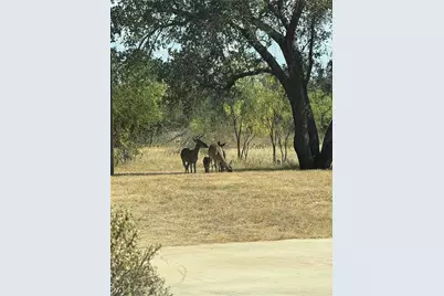 310 County Road 611, Brownwood, TX 76801 - Photo 29