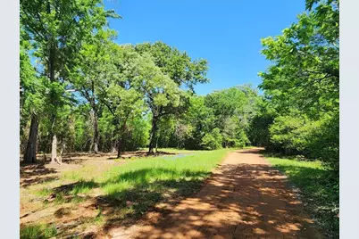 20169 County Road 445, Lindale, TX 75771 - Photo 3