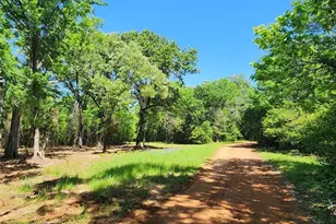 20169 County Rd 445, Lindale, TX 75771 - Photo 3