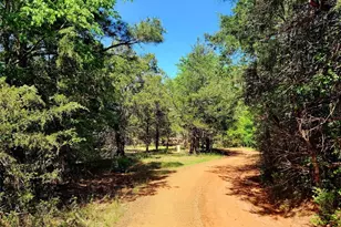 20169 County Rd 445, Lindale, TX 75771 - Photo 15