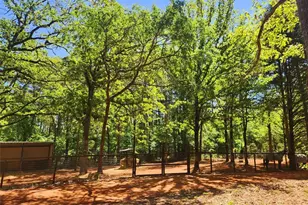 20169 County Rd 445, Lindale, TX 75771 - Photo 13