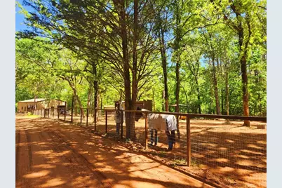 20169 County Road 445, Lindale, TX 75771 - Photo 11