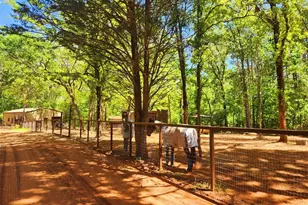 20169 County Rd 445, Lindale, TX 75771 - Photo 11