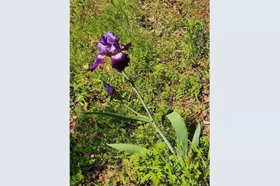 20169 County Road 445, Lindale, TX 75771 - Photo 7