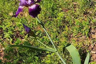 20169 County Rd 445, Lindale, TX 75771 - Photo 7