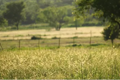 T B D Hayes Road, Mineral Wells, TX 76067 - Photo 3