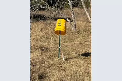 729 County Road 1304, Morgan, TX 76671 - Photo 15