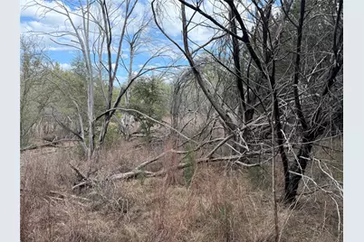 1070 Enchanted Rock Court, Graford, TX 76449 - Photo 5