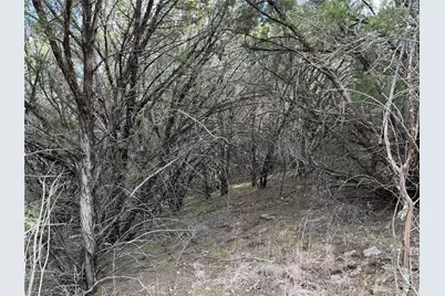 1070 Enchanted Rock Court, Graford, TX 76449 - Photo 3