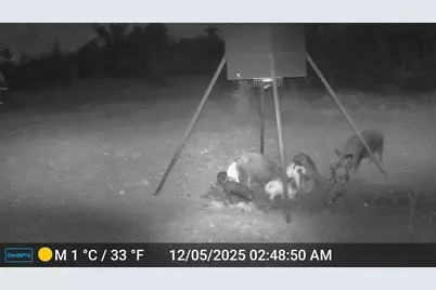 2117 Hwy 6, Cisco, TX 76437 - Photo 35