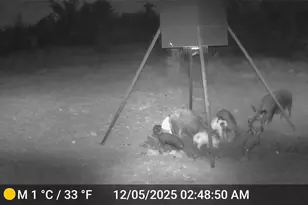 2117 Hwy 6, Cisco, TX 76437 - Photo 35