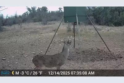 2117 Hwy 6, Cisco, TX 76437 - Photo 33