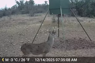 2117 Hwy 6, Cisco, TX 76437 - Photo 33