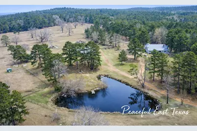 9689 E Fm 837, Palestine, TX 75803 - Photo 39