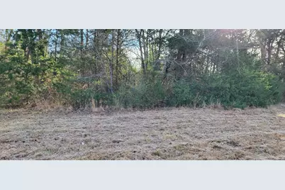 1191 County Road 2420, Pickton, TX 75471 - Photo 13