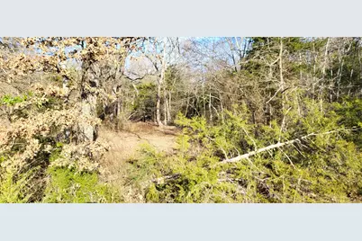 1191 County Road 2420, Pickton, TX 75471 - Photo 11