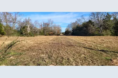 1191 County Road 2420, Pickton, TX 75471 - Photo 3