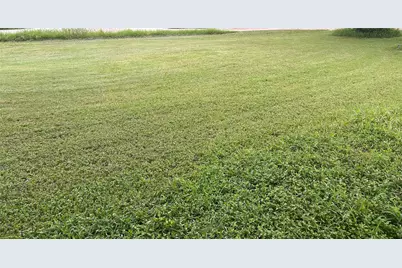 [Address not provided], Mount Calm, TX 76673 - Photo 1
