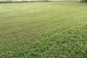 [Address not provided], Mount Calm, TX 76673 - Photo 1