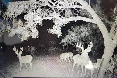 235 Hcr 2128, Whitney, TX 76692 - Photo 29