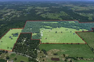 1095 FM 194, Blossom, TX 75416 - Photo 1