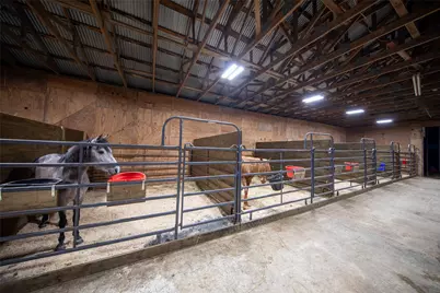 1095 Fm 194, Blossom, TX 75416 - Photo 3