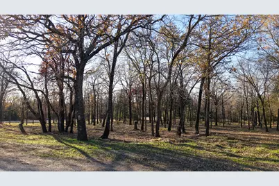 100 Oakmont Drive, Mabank, TX 75147 - Photo 3