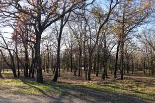 100 Oakmont Dr, Mabank, TX 75147 - Photo 3