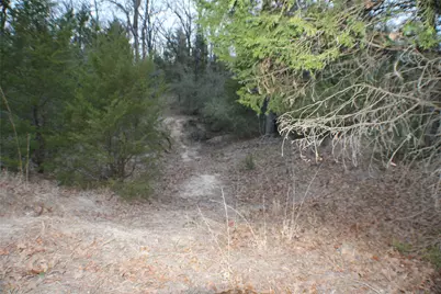 0 Fm 3054, Malakoff, TX 75148 - Photo 19