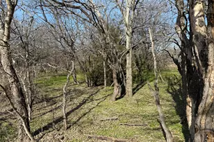 1700 Don Lee Road Rd, Joshua, TX 76058 - Photo 31