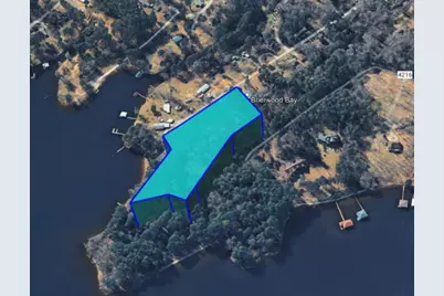 Tbd Carene Drive, Frankston, TX 75763 - Photo 3