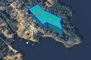 Tbd Carene Dr, Frankston, TX 75763 - Photo 1