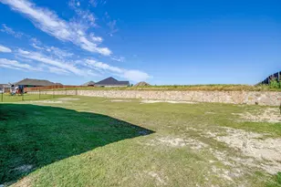 11709 Sand Cat Ct, Godley, TX 76044 - Photo 39
